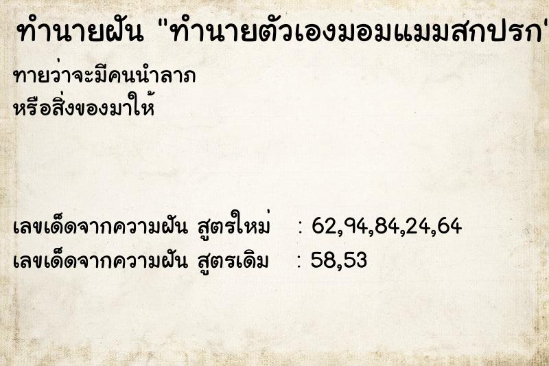 ทำนายฝันทำนายฝันทำนายตัวเองมอมแมมสกปรก