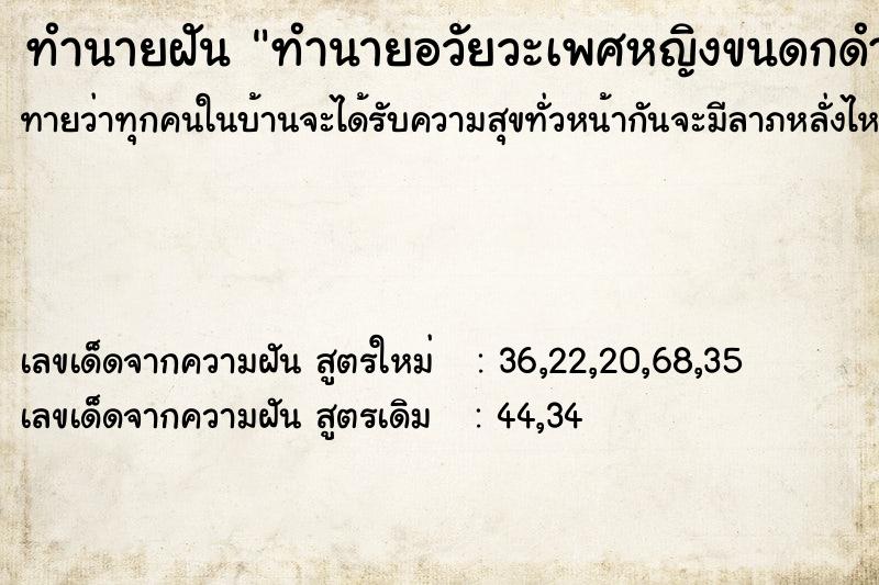 ทำนายฝันทำนายอวัยวะเพศหญิงขนดกดำ ทำนายฝันทำนายฝันทำนายอวัยวะเพศหญิงขนดกดำ