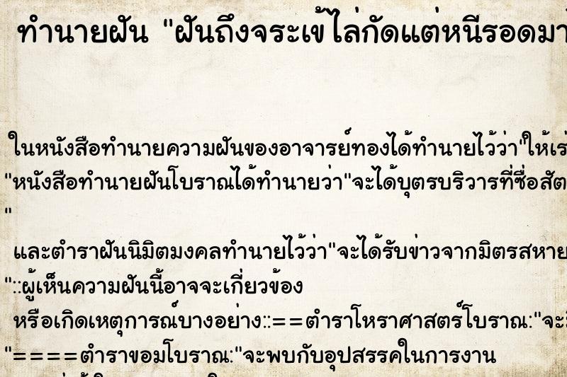 ทำนายฝันทำนายฝันฝันถึงจระเข้ไล่กัดแต่หนีรอดมาได้
