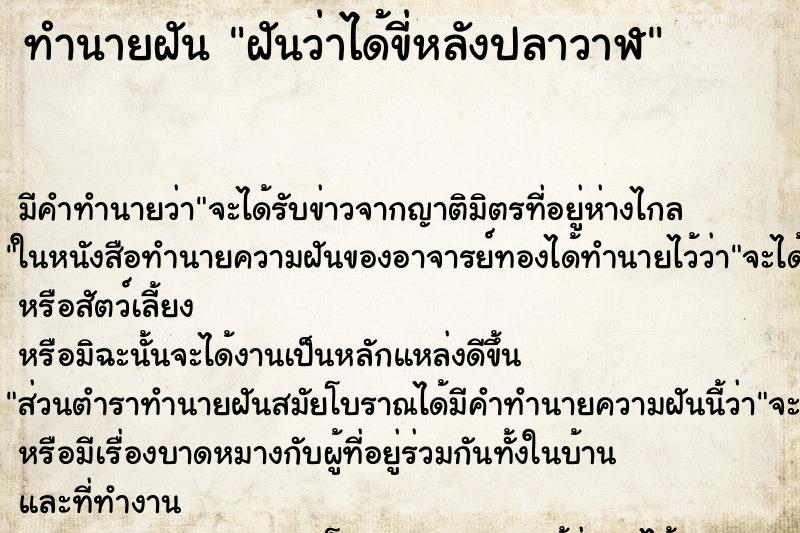 ทำนายฝันฝันว่าได้ขี่หลังปลาวาฬ ทำนายฝันทำนายฝันฝันว่าได้ขี่หลังปลาวาฬ