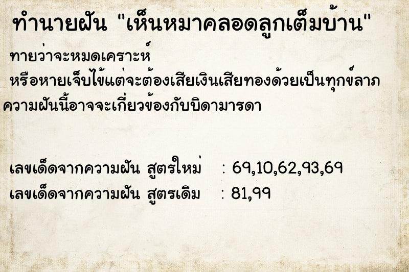 ทำนายฝัน เห็นหมาคลอดลูกเต็มบ้าน ทำนายฝัน เห็นหมาคลอดลูกเต็มบ้าน