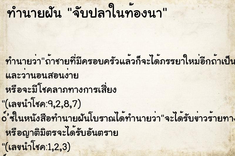 ทำนายฝันจับปลาในท้องนา ทำนายฝันทำนายฝันจับปลาในท้องนา