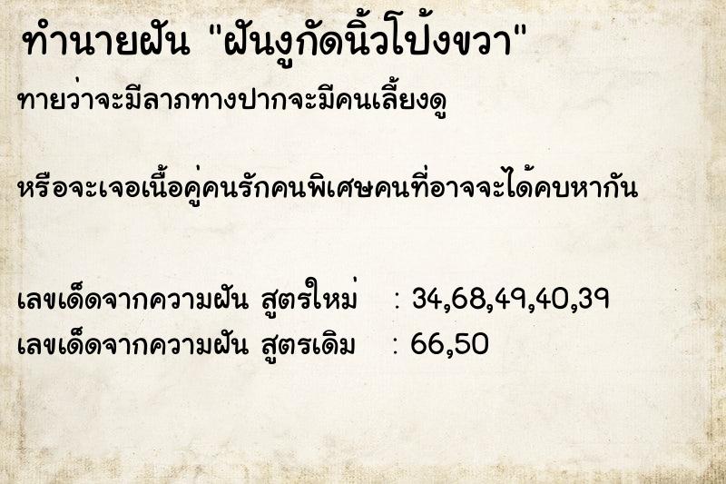 ทำนายฝัน ฝันงูกัดนิ้วโป้งขวา ทำนายฝัน ฝันงูกัดนิ้วโป้งขวา