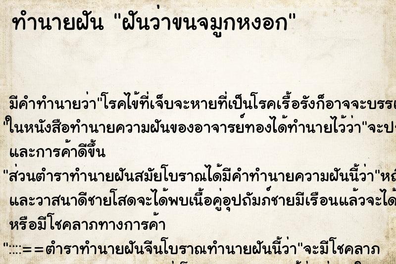 ทำนายฝัน ฝันว่าขนจมูกหงอก ทำนายฝัน ฝันว่าขนจมูกหงอก