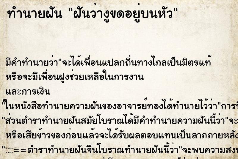 ทำนายฝัน ฝันว่างูขดอยู่บนหัว ทำนายฝัน ฝันว่างูขดอยู่บนหัว
