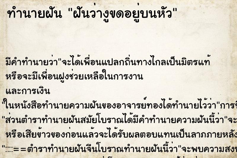 ทำนายฝัน ฝันว่างูขดอยู่บนหัว ตำราโบราณ แม่นที่สุดในโลก