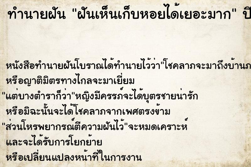 ทำนายฝันทำนายฝันฝันเห็นเก็บหอยได้เยอะมาก