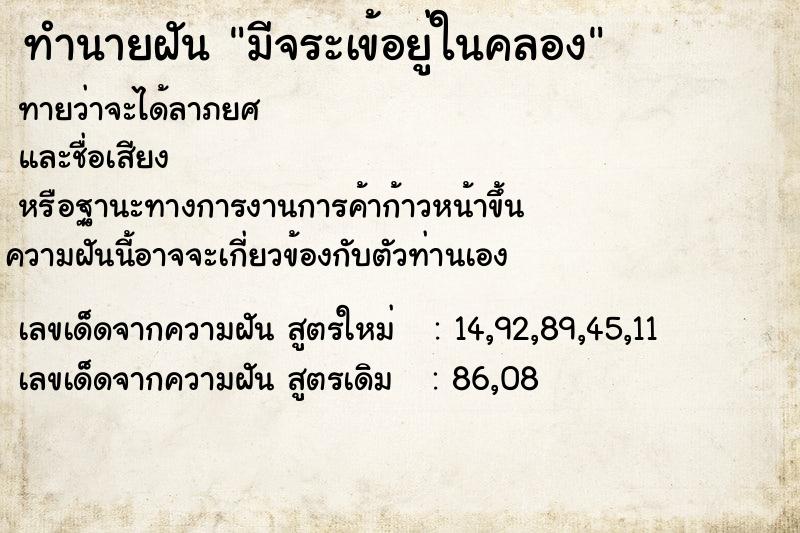 ทำนายฝันมีจระเข้อยู่ในคลอง ทำนายฝันทำนายฝันมีจระเข้อยู่ในคลอง