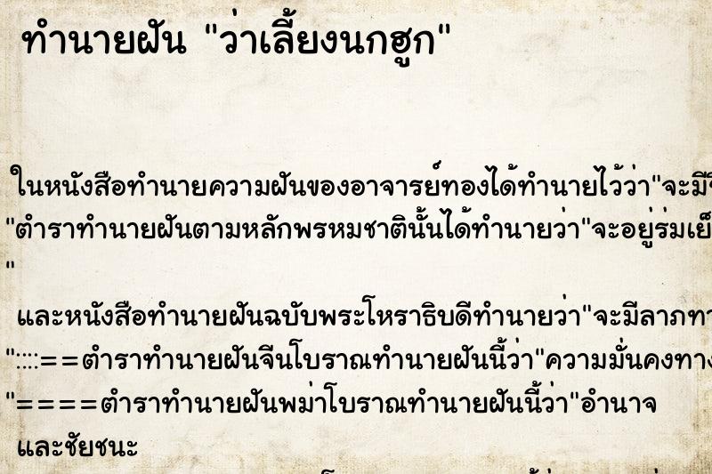 ทำนายฝันว่าเลี้ยงนกฮูก ทำนายฝันทำนายฝันว่าเลี้ยงนกฮูก