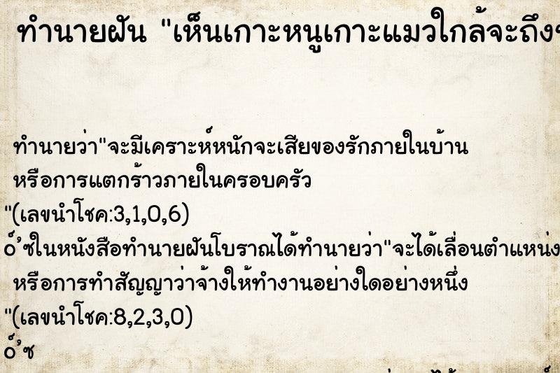 ทำนายฝันทำนายฝันเห็นเกาะหนูเกาะแมวใกล้จะถึงชายฝั่ง