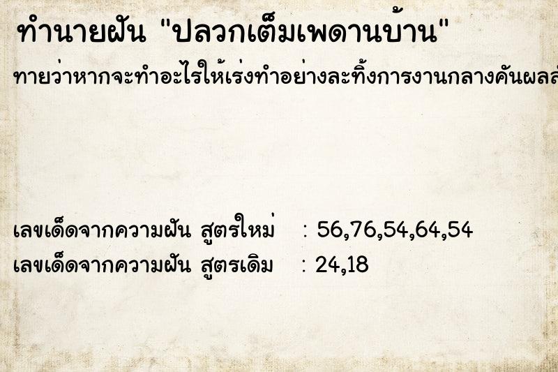 ทำนายฝัน ปลวกเต็มเพดานบ้าน ทำนายฝัน ปลวกเต็มเพดานบ้าน