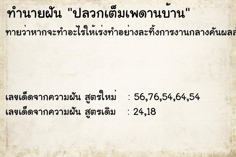 ทำนายฝัน ปลวกเต็มเพดานบ้าน ตำราโบราณ แม่นที่สุดในโลก