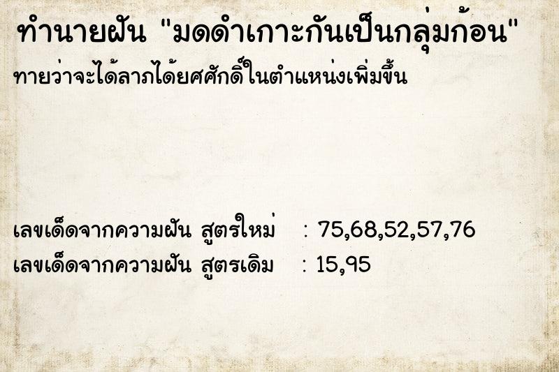 ทำนายฝันมดดำเกาะกันเป็นกลุ่มก้อน ทำนายฝันทำนายฝันมดดำเกาะกันเป็นกลุ่มก้อน