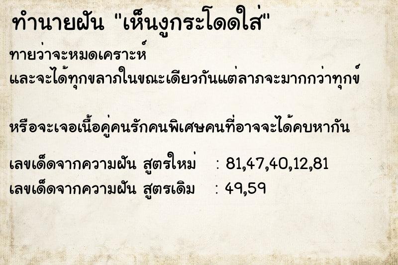 ทำนายฝันทำนายฝันเห็นงูกระโดดใส่