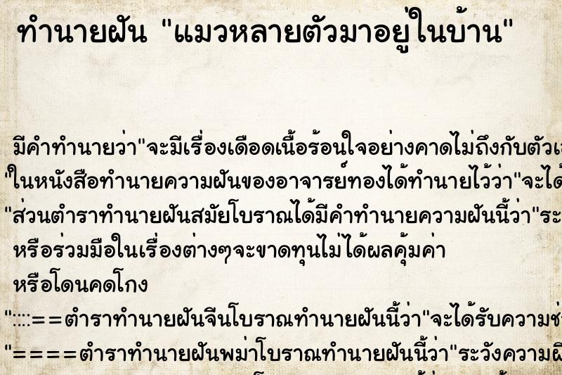 ทำนายฝัน แมวหลายตัวมาอยู่ในบ้าน ทำนายฝัน แมวหลายตัวมาอยู่ในบ้าน