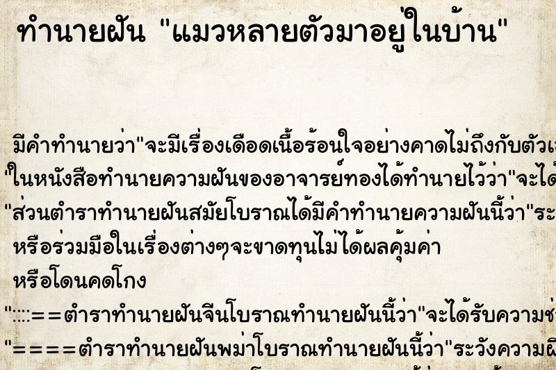 ทำนายฝัน แมวหลายตัวมาอยู่ในบ้าน ตำราโบราณ แม่นที่สุดในโลก