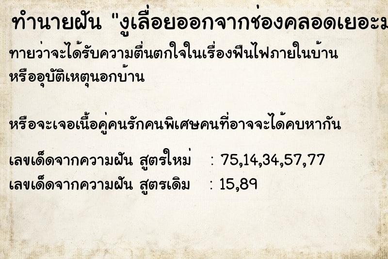 ทำนายฝันงูเลื่อยออกจากช่องคลอดเยอะมาก ทำนายฝันทำนายฝันงูเลื่อยออกจากช่องคลอดเยอะมาก