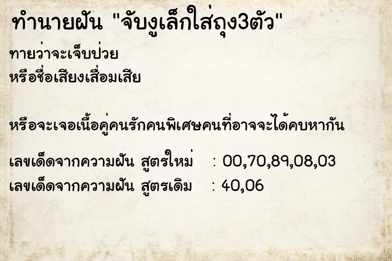 ทำนายฝันทำนายฝันจับงูเล็กใส่ถุง3ตัว