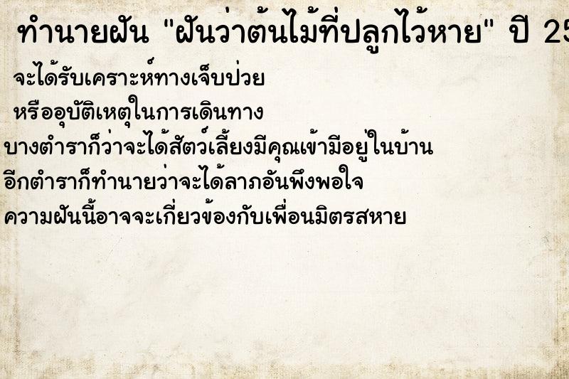 ทำนายฝันฝันว่าต้นไม้ที่ปลูกไว้หาย ทำนายฝันทำนายฝันฝันว่าต้นไม้ที่ปลูกไว้หาย