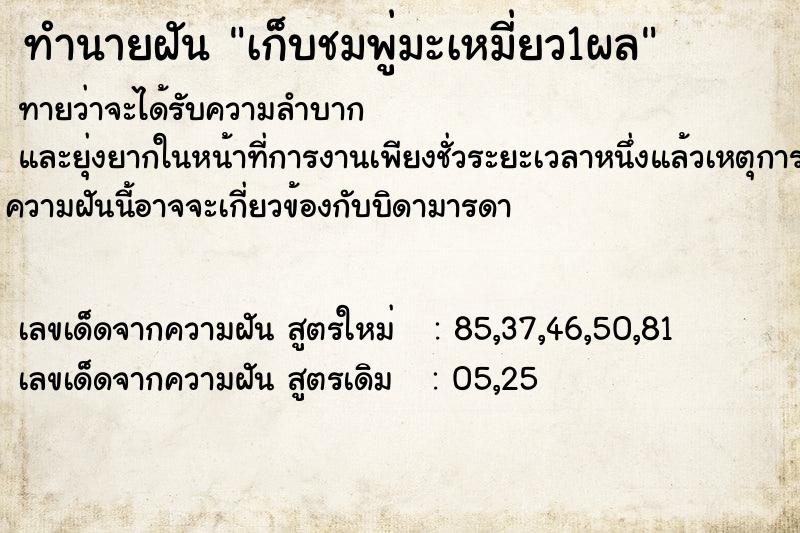 ทำนายฝัน เก็บชมพู่มะเหมี่ยว1ผล ทำนายฝัน เก็บชมพู่มะเหมี่ยว1ผล