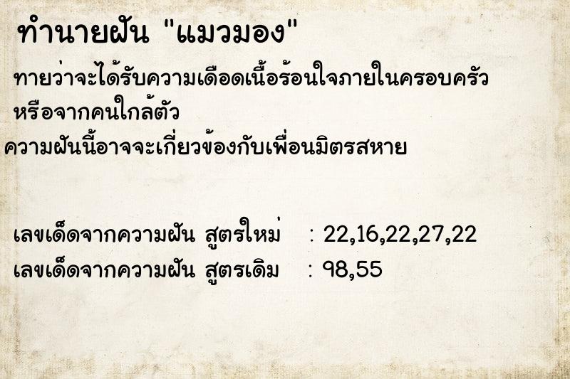 ทำนายฝันทำนายฝันแมวมอง