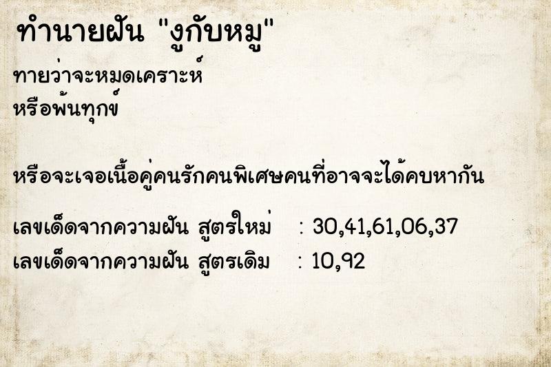 ทำนายฝันทำนายฝันงูกับหมู