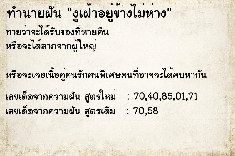 ทำนายฝันทำนายฝันงูเฝ้าอยู่ข้างไม่ห่าง