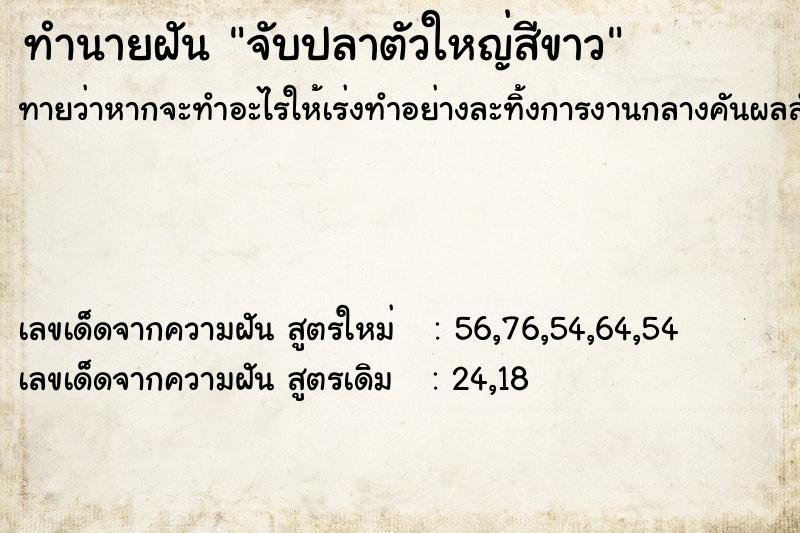 ทำนายฝันทำนายฝันจับปลาตัวใหญ่สีขาว