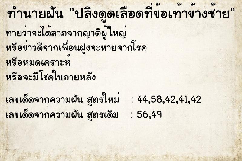 ทำนายฝัน ปลิงดูดเลือดที่ข้อเท้าข้างซ้าย ทำนายฝัน ปลิงดูดเลือดที่ข้อเท้าข้างซ้าย