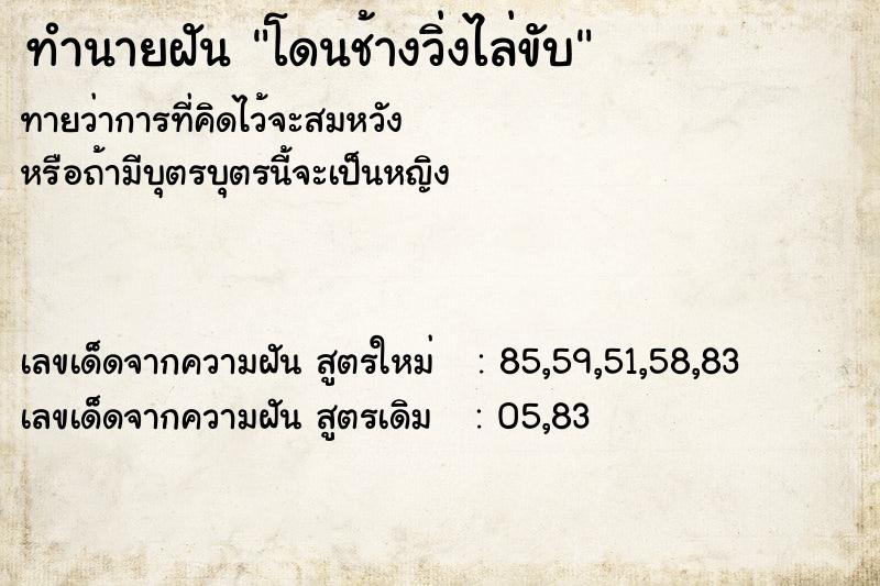 ทำนายฝันโดนช้างวิ่งไล่ขับ ทำนายฝันทำนายฝันโดนช้างวิ่งไล่ขับ