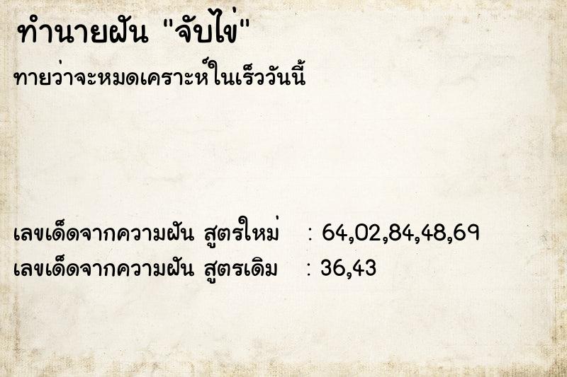 ทำนายฝันจับไข่ ทำนายฝันทำนายฝันจับไข่