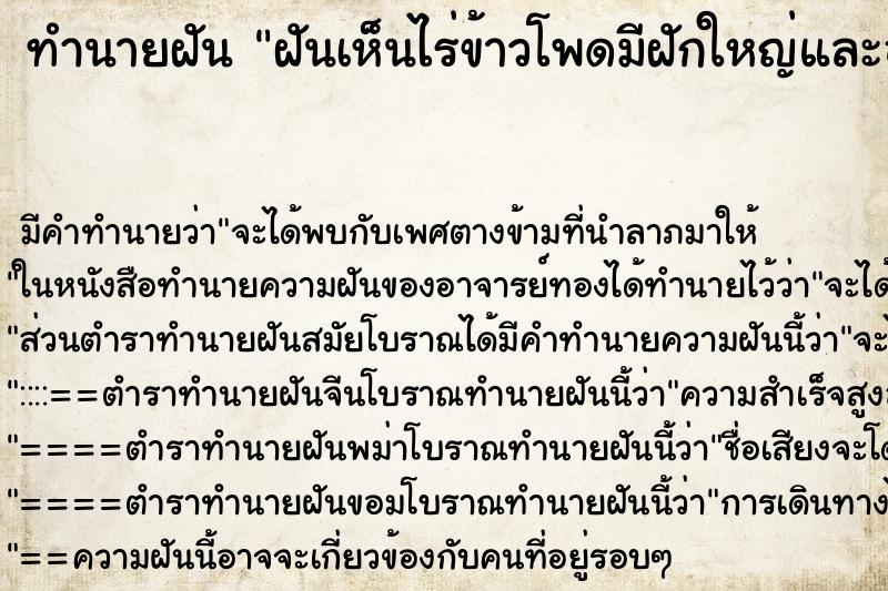 ทำนายฝัน ฝันเห็นไร่ข้าวโพดมีฝักใหญ่และอุดมสมบูรณ์ ตำราโบราณ แม่นที่สุดในโลก