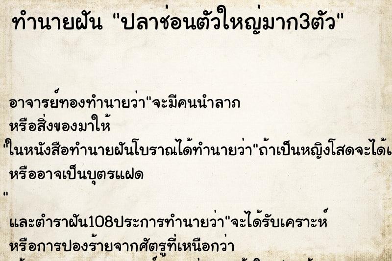 ทำนายฝัน ปลาช่อนตัวใหญ่มาก3ตัว ตำราโบราณ แม่นที่สุดในโลก