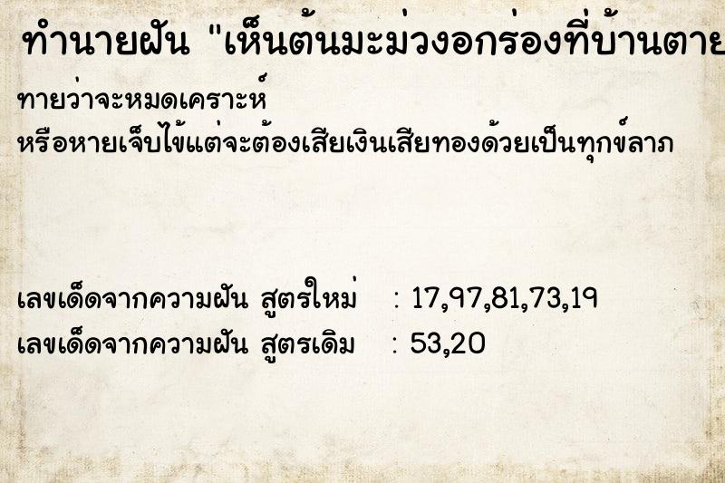 ทำนายฝันเห็นต้นมะม่วงอกร่องที่บ้านตาย ทำนายฝันทำนายฝันเห็นต้นมะม่วงอกร่องที่บ้านตาย
