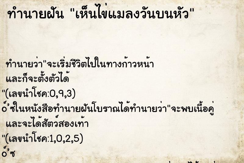 ทำนายฝันเห็นไข่แมลงวันบนหัว ทำนายฝันทำนายฝันเห็นไข่แมลงวันบนหัว