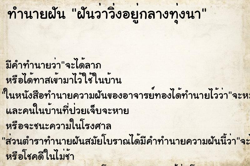 ทำนายฝัน ฝันว่าวิ่งอยู่กลางทุ่งนา ทำนายฝัน ฝันว่าวิ่งอยู่กลางทุ่งนา