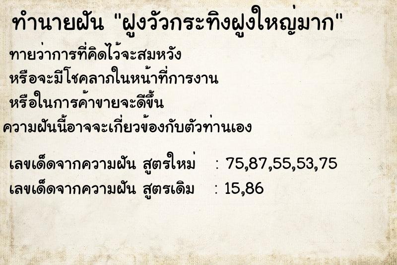 ทำนายฝันทำนายฝันฝูงวัวกระทิงฝูงใหญ่มาก