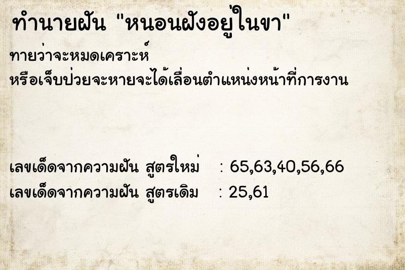 ทำนายฝันหนอนฝังอยู่ในขา ทำนายฝันทำนายฝันหนอนฝังอยู่ในขา