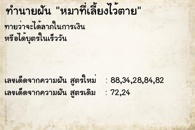 ทำนายฝันทำนายฝันหมาที่เลี้ยงไว้ตาย