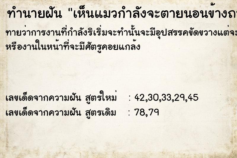 ทำนายฝันทำนายฝันเห็นแมวกำลังจะตายนอนข้างถนน2ตัว