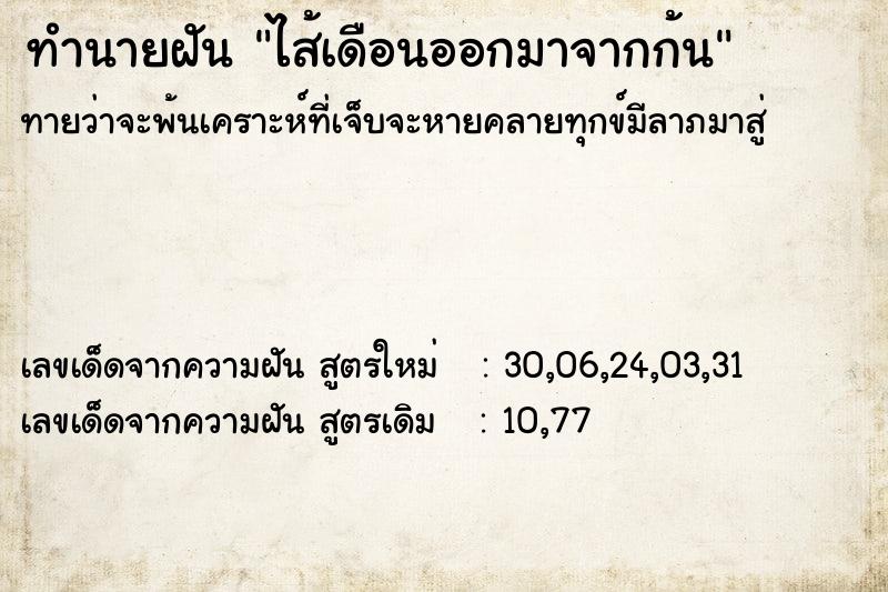 ทำนายฝันไส้เดือนออกมาจากก้น ทำนายฝันทำนายฝันไส้เดือนออกมาจากก้น