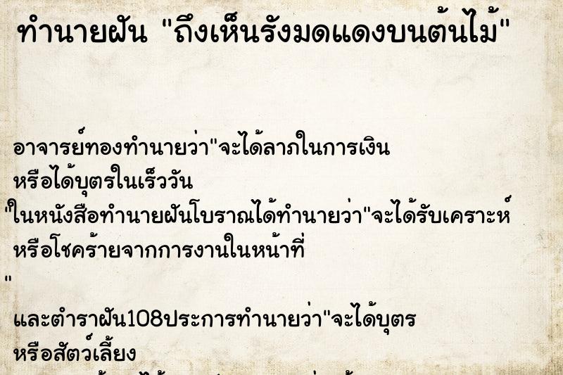 ทำนายฝันทำนายฝันถึงเห็นรังมดแดงบนต้นไม้