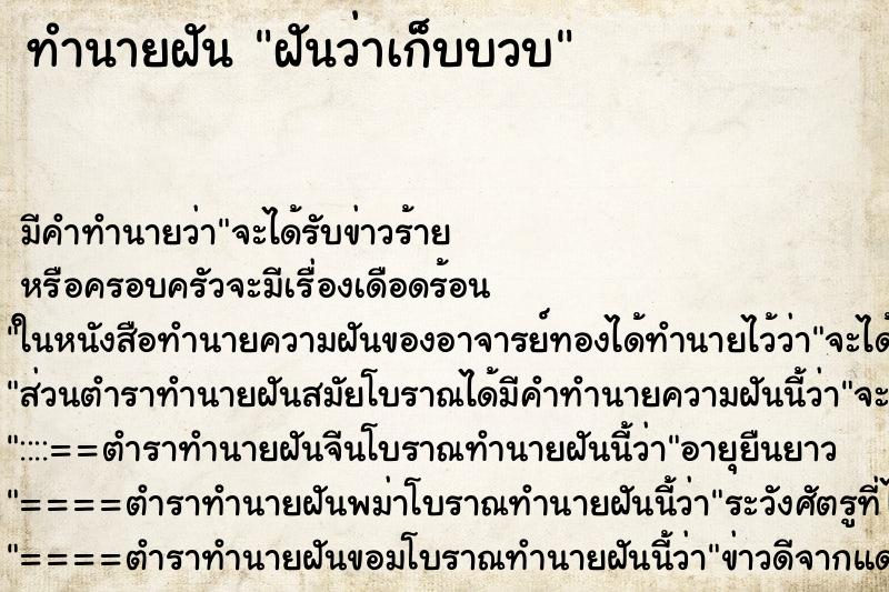 ทำนายฝัน ฝันว่าเก็บบวบ ทำนายฝัน ฝันว่าเก็บบวบ