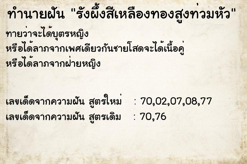 ทำนายฝันทำนายฝันรังผึ้งสีเหลืองทองสูงท่วมหัว