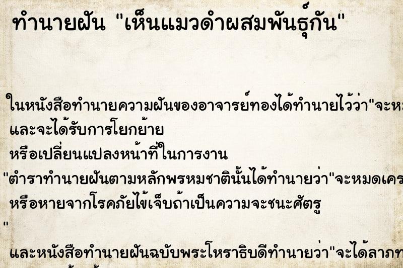 ทำนายฝันเห็นแมวดำผสมพันธุ์กัน ทำนายฝันทำนายฝันเห็นแมวดำผสมพันธุ์กัน
