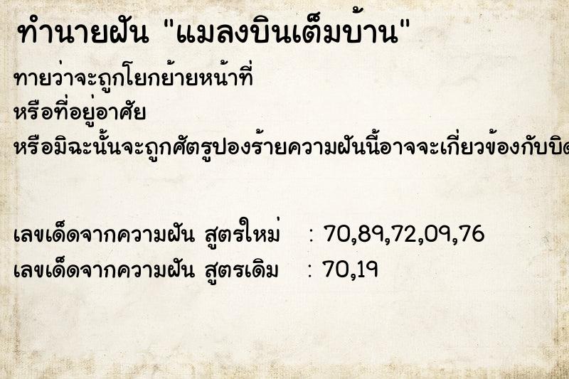 ทำนายฝันทำนายฝันแมลงบินเต็มบ้าน