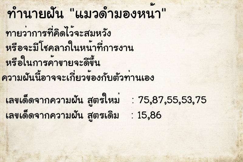 ทำนายฝันแมวดำมองหน้า ทำนายฝันทำนายฝันแมวดำมองหน้า