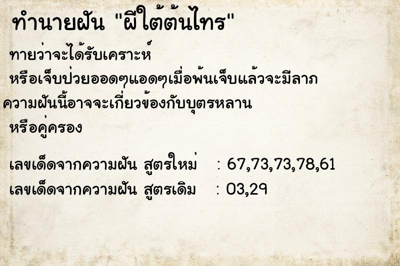 ทำนายฝันทำนายฝันผีใต้ต้นไทร