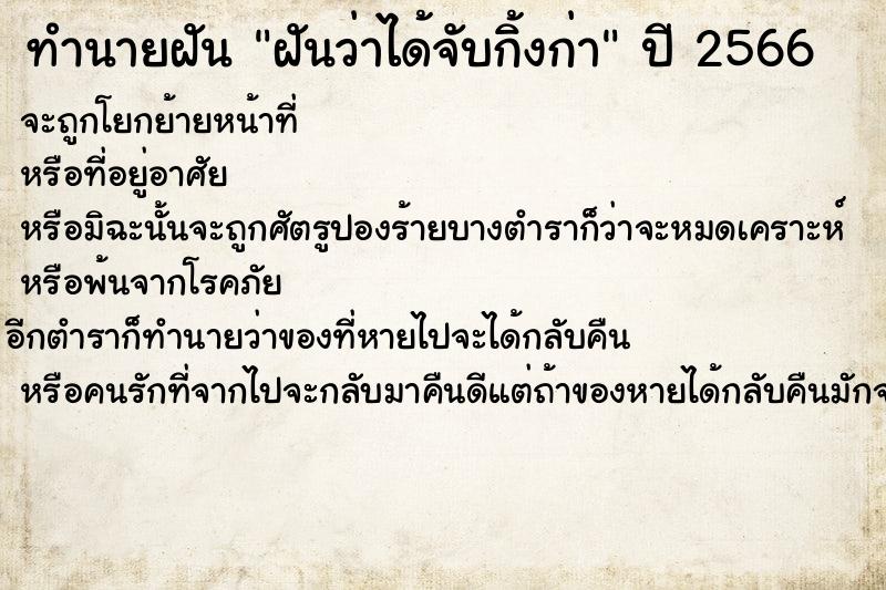 ทำนายฝันฝันว่าได้จับกิ้งก่า ทำนายฝันทำนายฝันฝันว่าได้จับกิ้งก่า