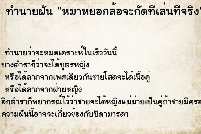 ทำนายฝัน หมาหยอกล้อจะกัดทีเล่นทีจริง